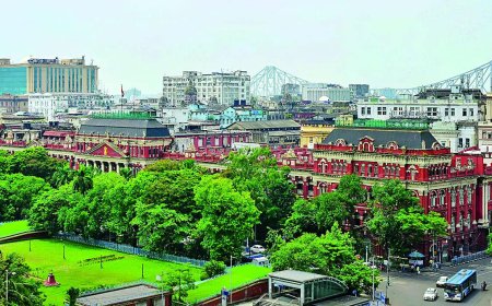 BJP's 'bhadralok' candidates turn TMC bastions saffron