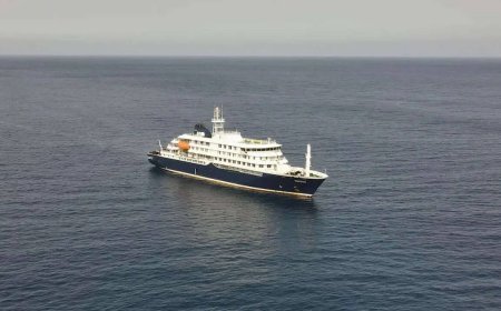 Hantavirus strain that killed 3 on cruise ship capable of human transmission: 10 things to know