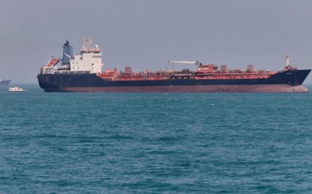 Strait of Hormuz technically open, but not operating: National shipowners' body head