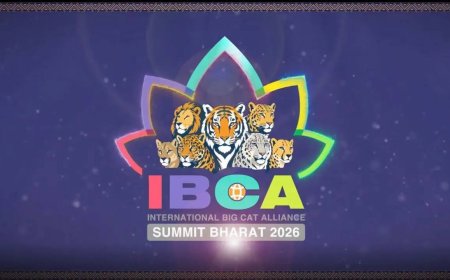 India exhorts big cat range countries to join treaty-based global Alliance ahead of its first Summit in Delhi