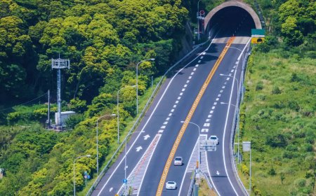 Negligent driving killed 495 daily on India’s roads in 2024: NCRB