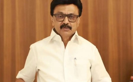 Tamil Nadu verdict: Let Vijay form government, will watch, won’t disturb for 6 months, says MK Stalin