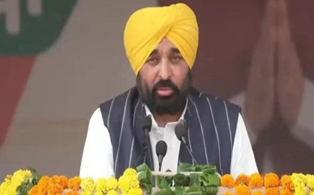 Bhagwant Mann blames BJP for blasts, party threatens legal action to oust CM