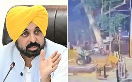 'Attempt to tarnish party image': BJP sends defamation notice to Bhagwant Mann over Punjab blast allegations