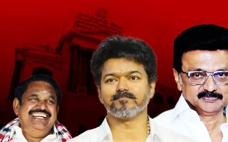 108 seats but no majority: Can TVK's Vijay form govt? Tamil Nadu number game explained