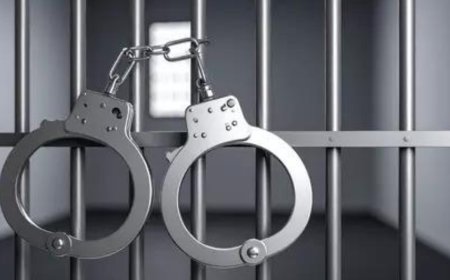 10,312 arrested in 2024 in cases linked to cruelty against animals, NCRB tracks animal cruelty cases for first time