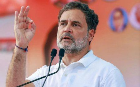 'Please speed up my returns': Rahul Gandhi's response to his 'BJP-supporter' financer wins internet