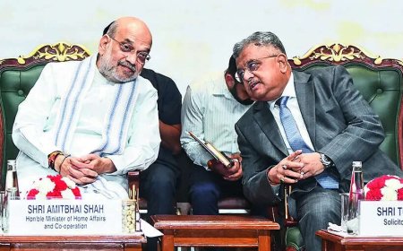 India has ensured democracy deep-rooted: Amit Shah
