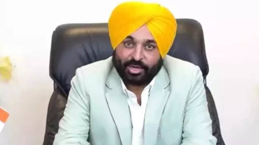 'All speculations put to rest': Bhagwant Mann as AAP govt wins trust vote in Punjab assembly