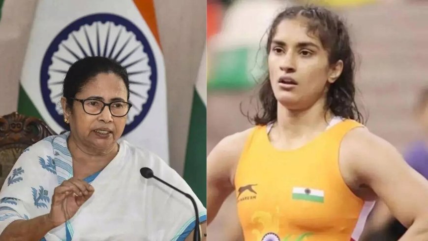 Evening news wrap: TMC claims BJP-linked cars entered counting centre; Vinesh Phogat says ex-WFI chief harassed her &amp; more