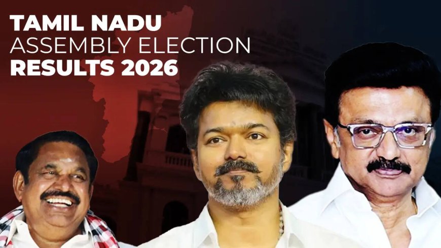 Tamil Nadu Election Results 2026: Full list of winners and losers from TVK, DMK &amp; AIADMK