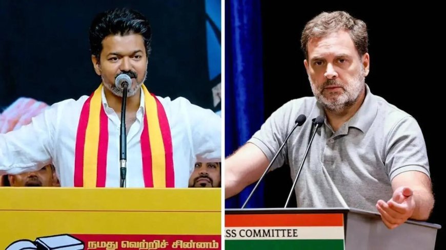 'Keep communal forces out': Congress offers 'conditional' support to Vijay’s TVK in Tamil Nadu; ditches DMK