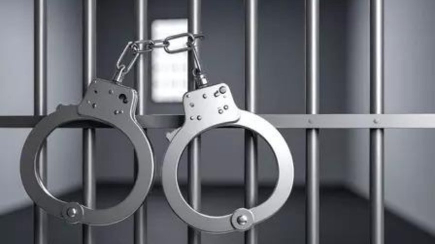 10,312 arrested in 2024 in cases linked to cruelty against animals, NCRB tracks animal cruelty cases for first time