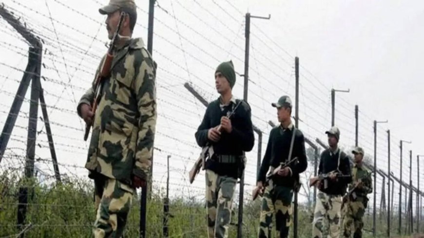 BSF fires 'in self-defence', kills 2 Bangladeshis on Tripura border